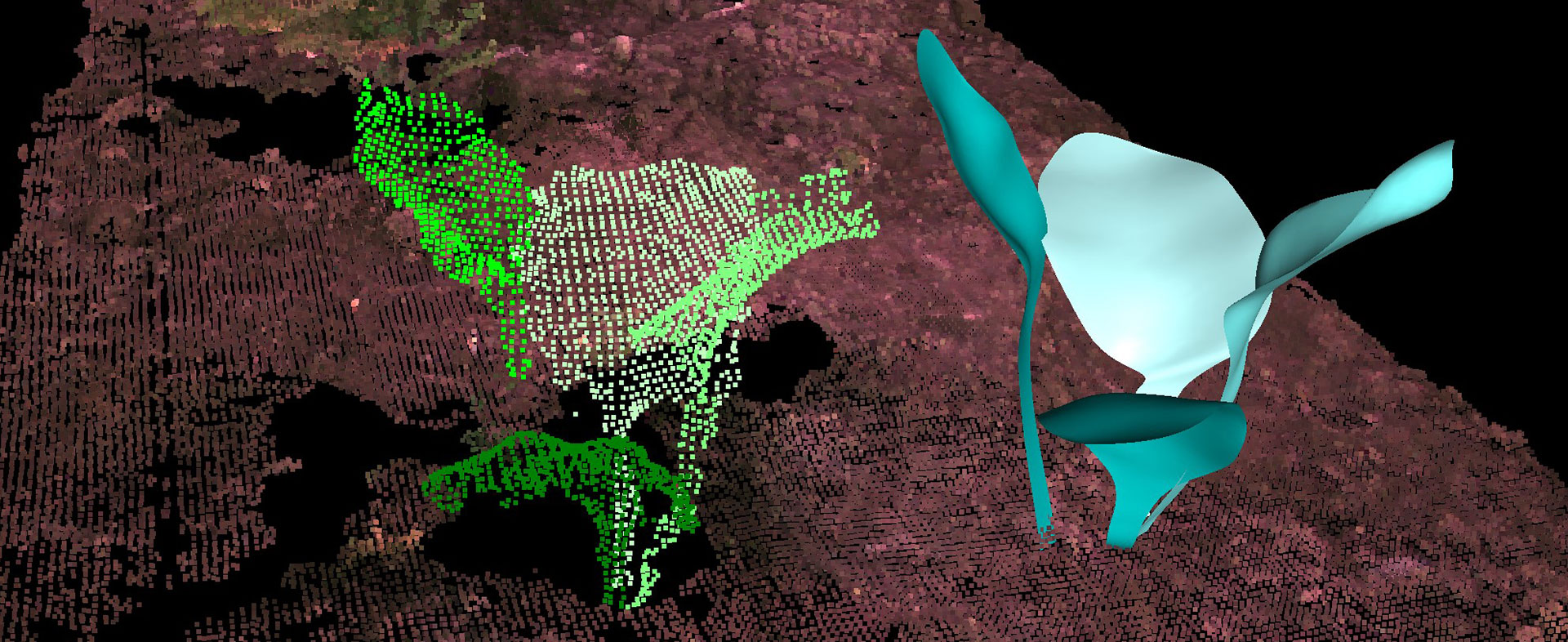 Schritthaltende 3D-Rekonstruktion und -Analyse