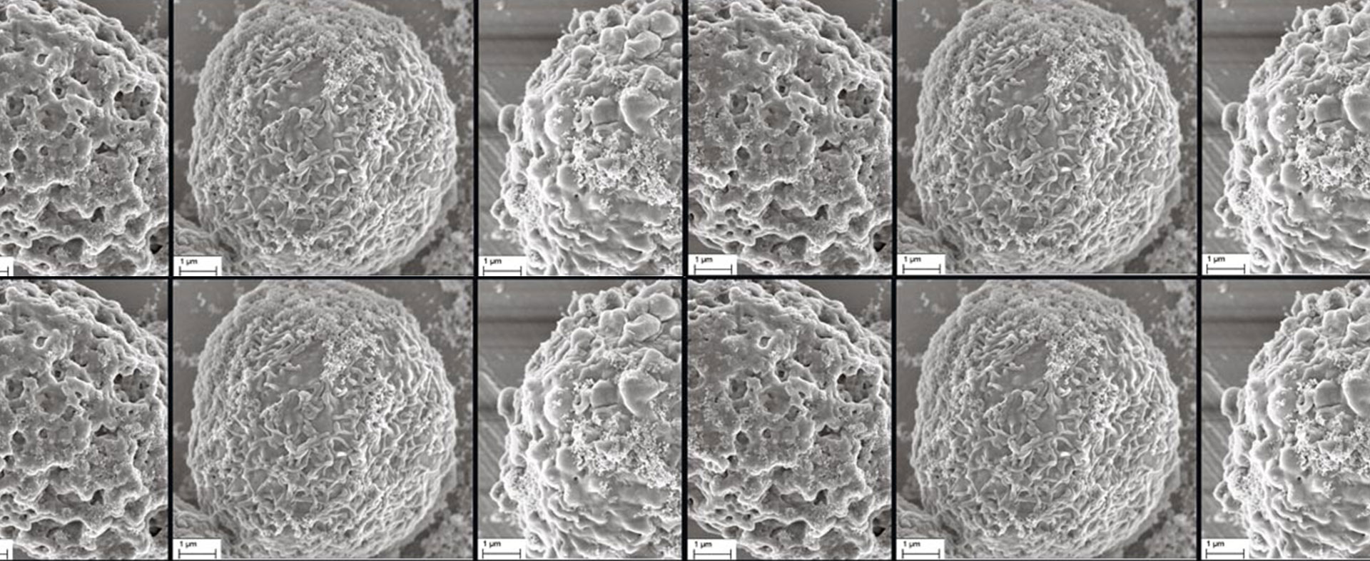 Multiskalenuntersuchung der Hyperthermie für neue additive Tumorbehandlungsstrategien – Microthermia