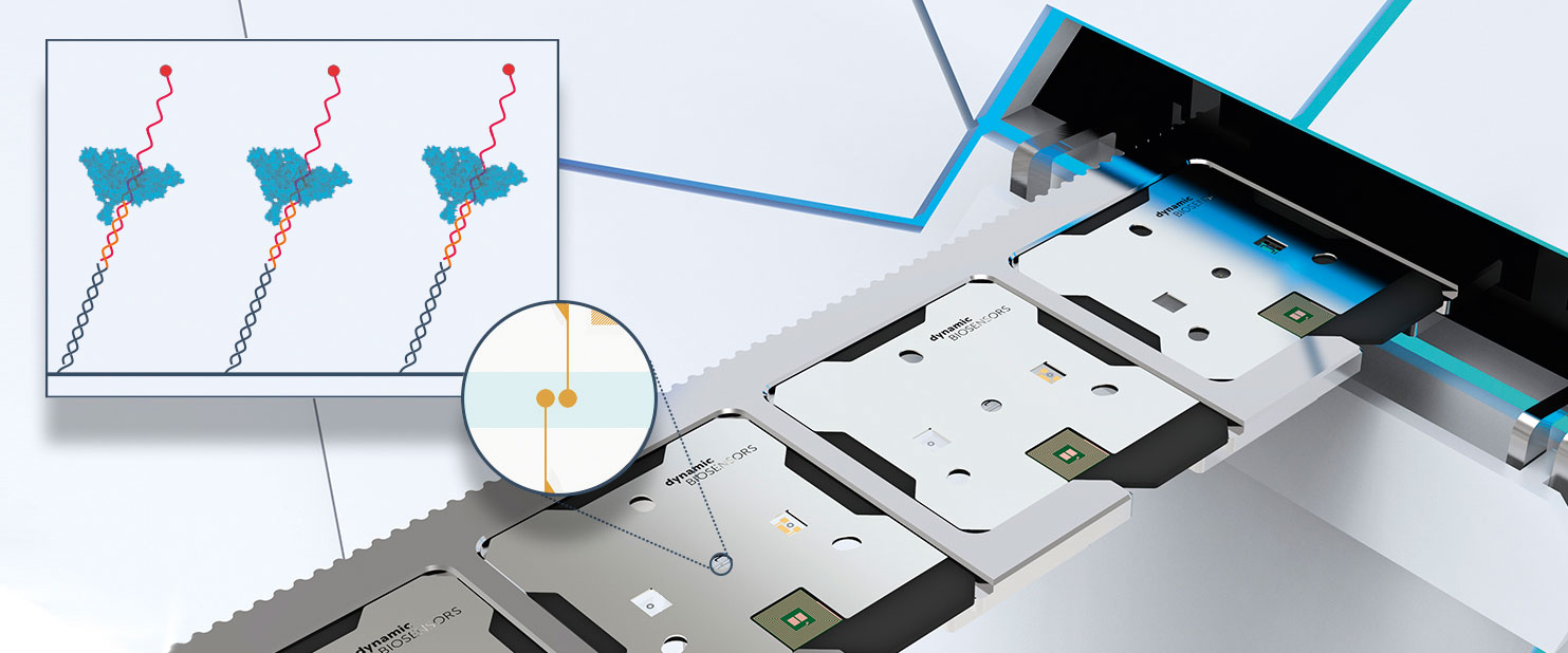 Mikrofluidischer switchSENSE®-Biochip mit zwei Messelektroden. Schematische Darstellung der Messelektrode mit kurzen fluoreszenzmarkierten RNA-Molekülen zur biophysikalischen Analyse der Polymerase-Aktivität (Quelle: Dynamic Biosensors GmbH)