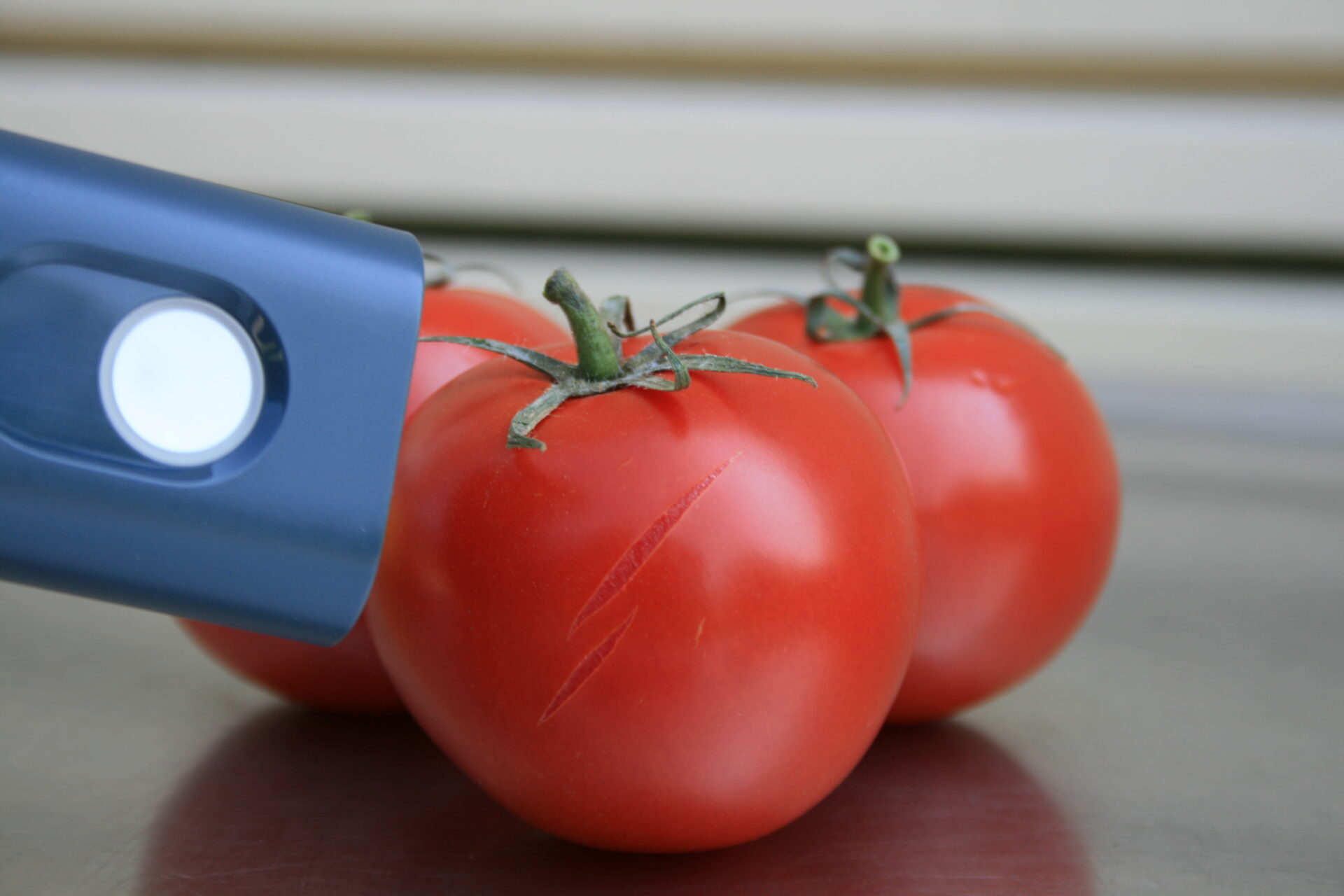 Nahinfrarotmessung von Fruchtgemüse (Quelle: Fraunhofer-Institut für Verfahrenstechnik und Verpackung IVV)