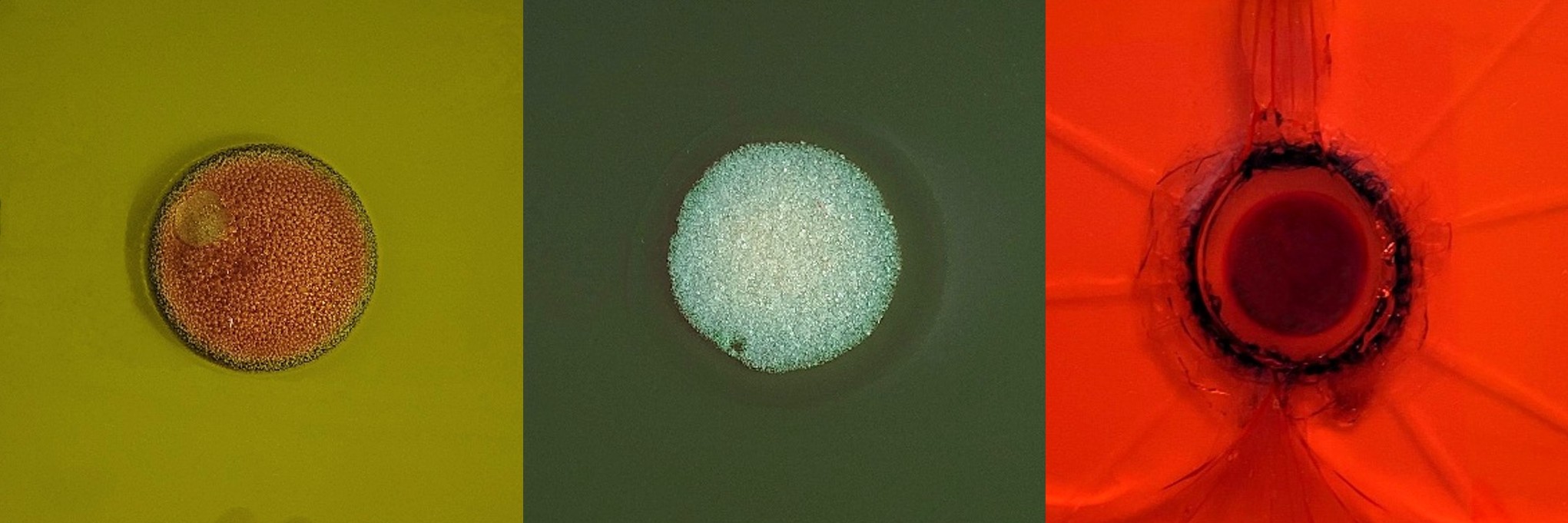 Banner: Auswahl an geprüften Laserschutzfenstern aus PC, PMMA sowie Glas (Quelle: Bayerisches Laserzentrum GmbH)