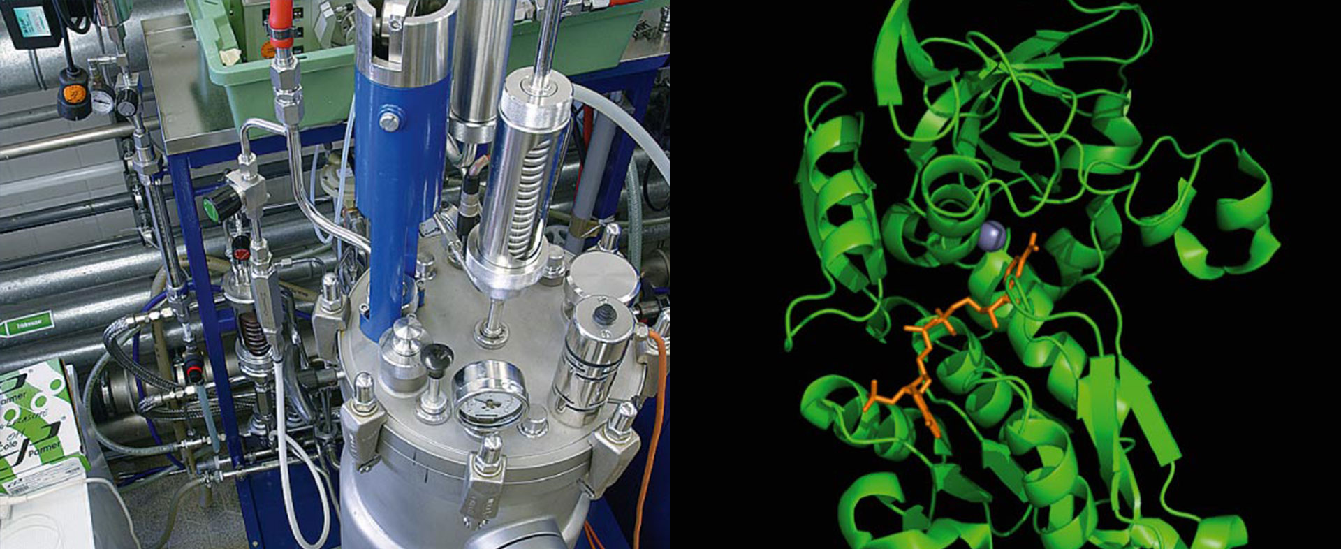 Neuartiges biokatalytisches Herstellverfahren ersetzt die chemische Synthese