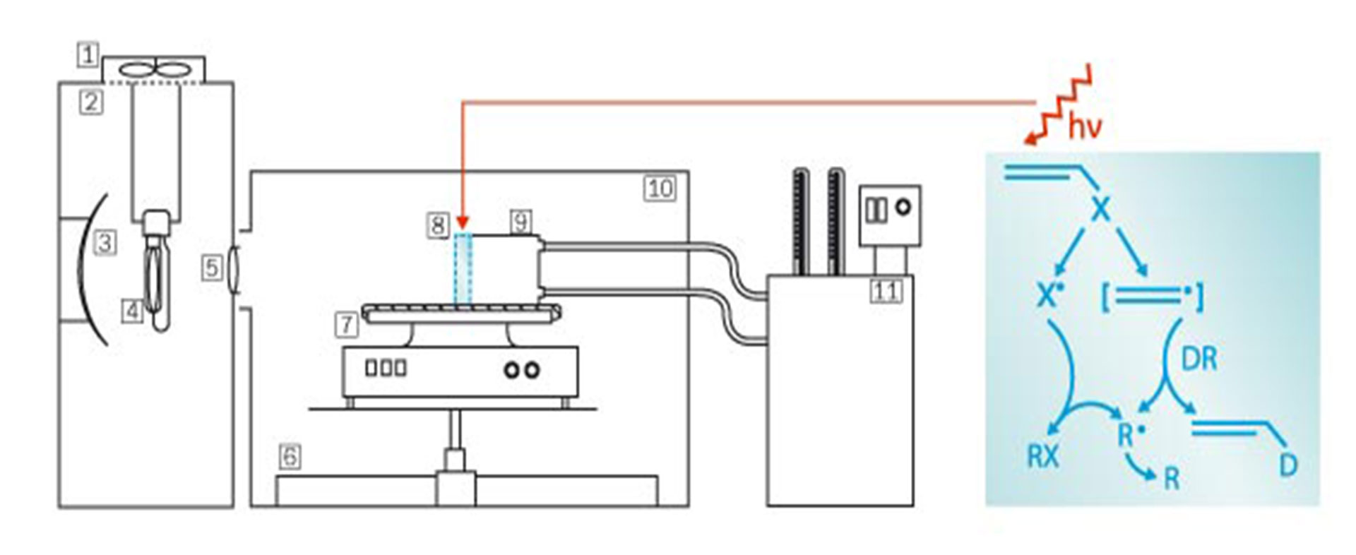 Dehalogenierungs- und Deuterierungsprozess in der Küvette (Schema): 1: Ventilator, 2: Lampengehäuse, 3: Reflexionsspiegel, 4: Mitteldruck-Quecksilberlampe, 5: Linse, 6: Metallschiene, 7: Magnetrührer, 8: Quarzküvette, 9: Küvettenhalterung, 10: Dunkelkammer (Quelle: Technische Universität München, Wissenschaftszentrum Weihenstephan)