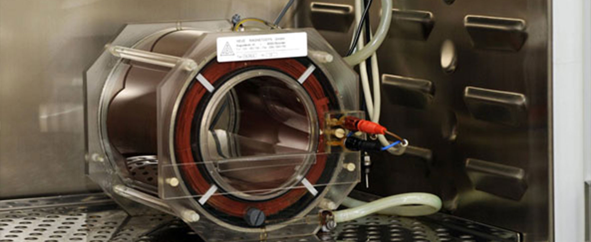 Elektromagnetische Stammzelldifferenzierung