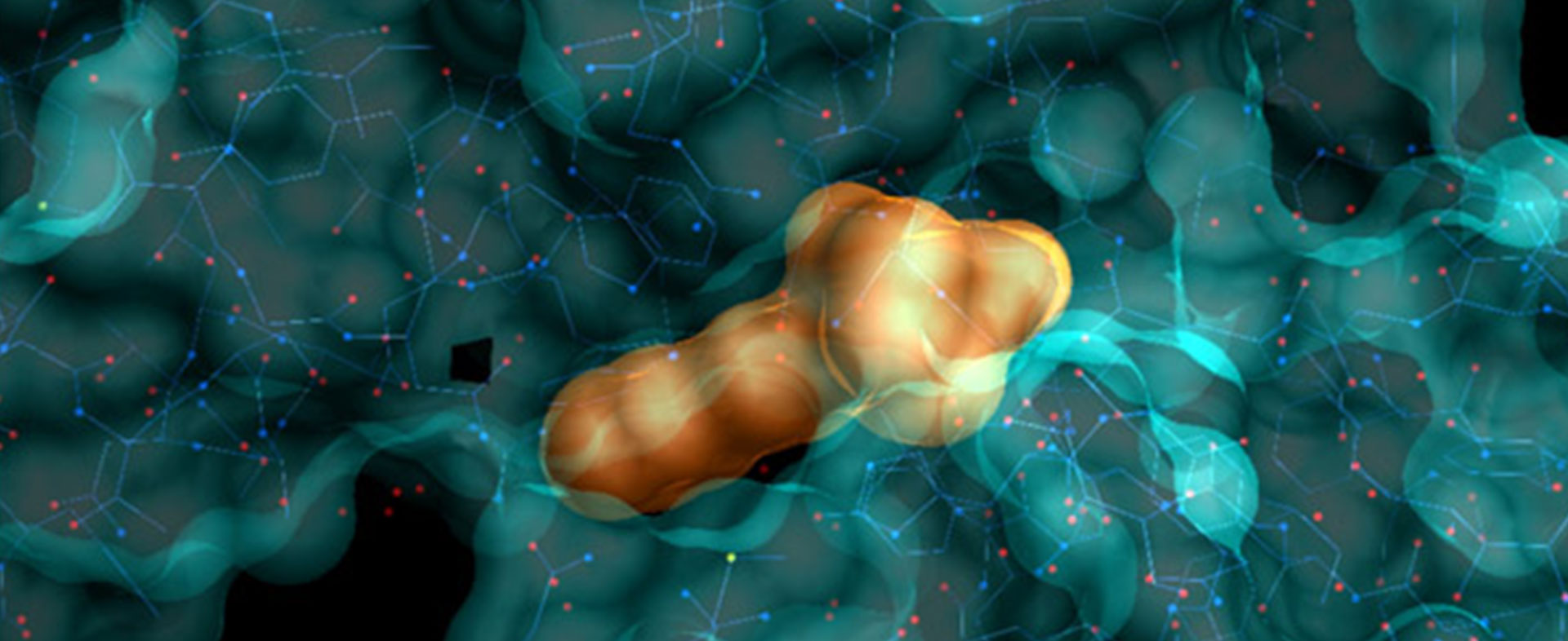 Identifizierung von Lead-Inhibitoren humaner Hyaluronidasen