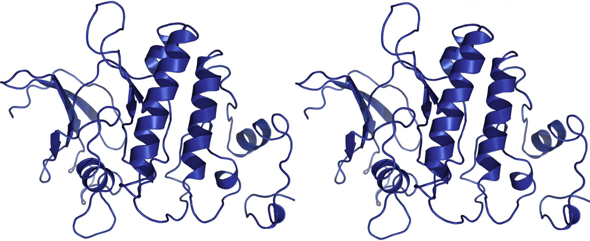 Proteinkinase-Inhibitoren als anti-herpesvirale Breitbandmedikamente der Zukunft