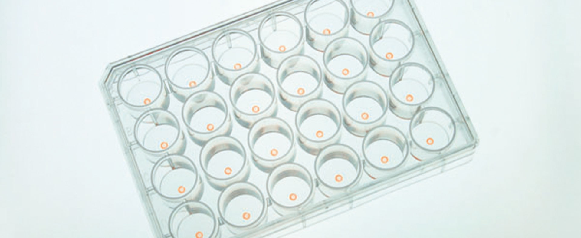 COSIR ─ Combination of Chemical-optical sensors and Image Recognition
