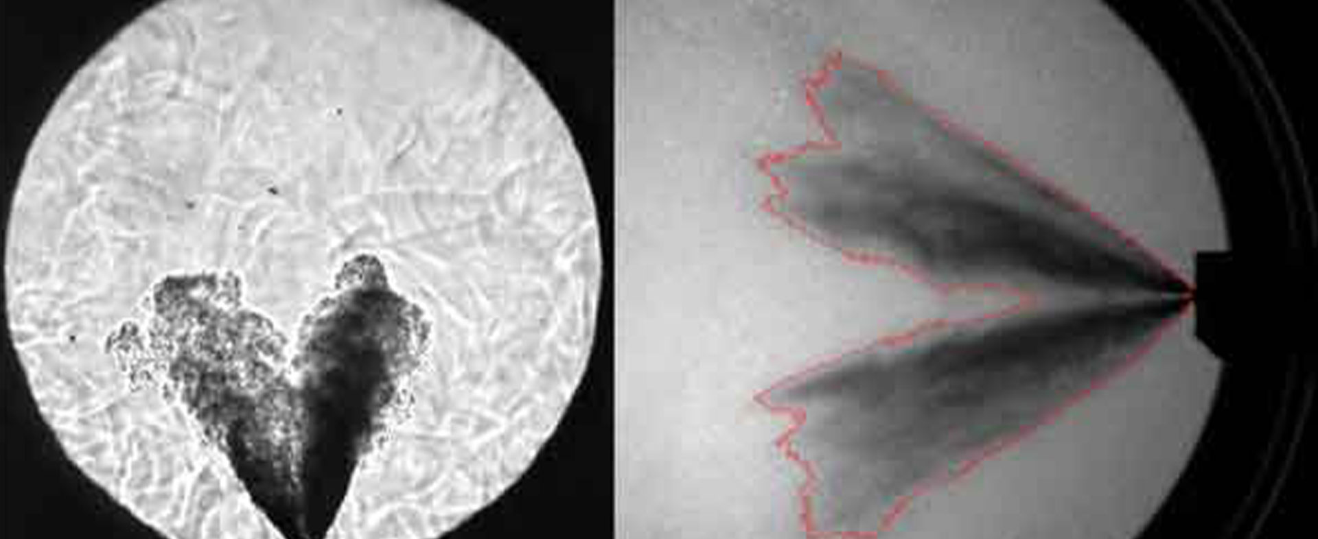 Homogene interne Gemischbildung und Verbrennung in Ottomotoren unter Einsatz von neuartigen Doppelstrahl-Sprayinjektoren „TWIN-JET“