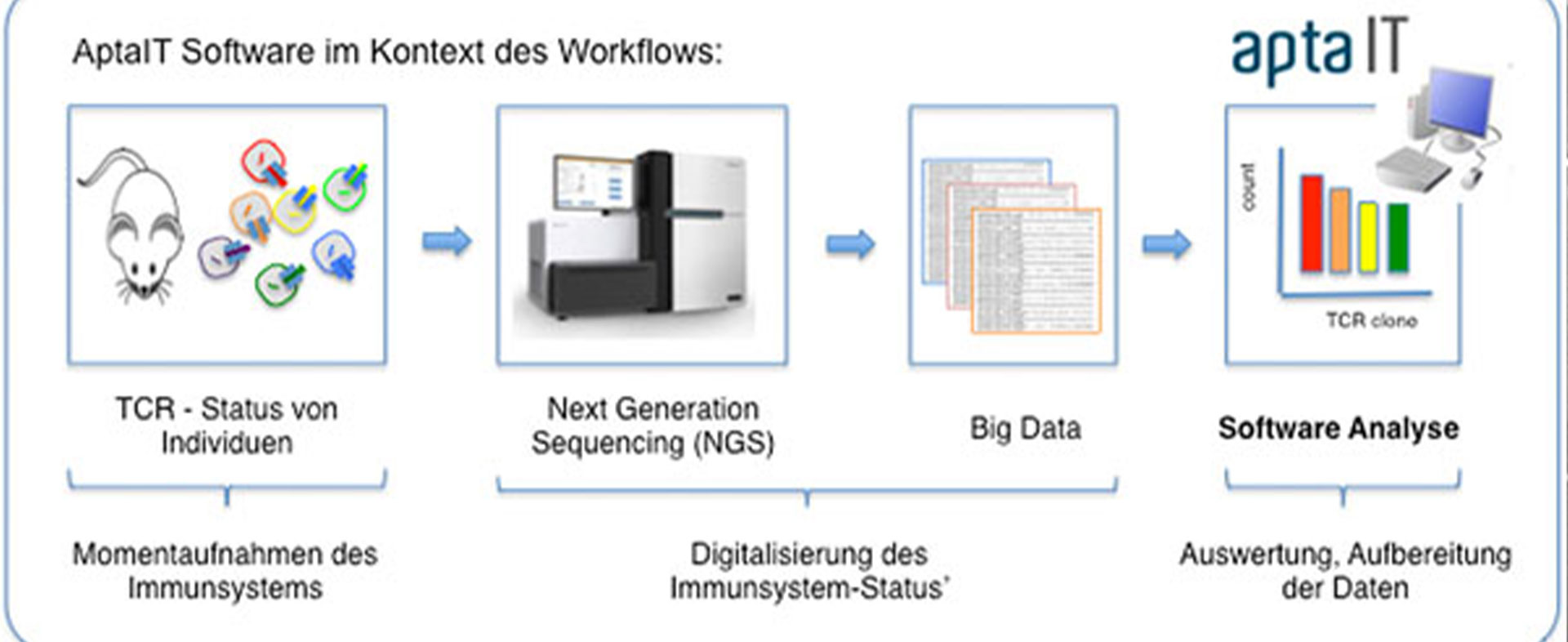 Hochdurchsatz-Analyse von Immunsignaturen mittels Next-Generation Sequencing (HAIN)